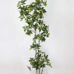 Cây ngũ gia bì giả 160cm