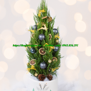 cây thông noel 1m