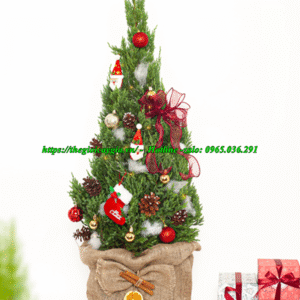 cây thông noel 1m