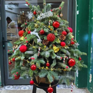 cây thông noel 1m
