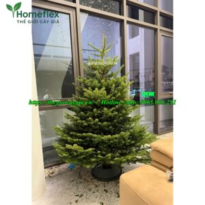 cây thông noel 1m