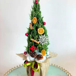 cây thông noel 1m