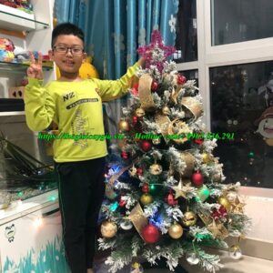 cây thông noel 1m2