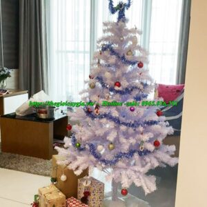 cây thông noel 1m2