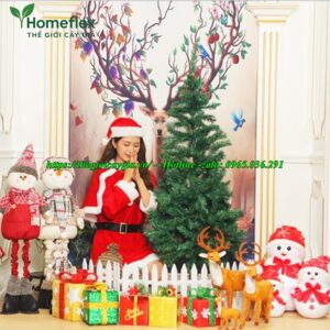 cây thông noel 1m2