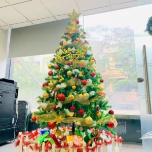 cây thông noel 1m2