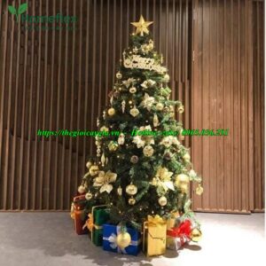 Cây thông noel 1m5