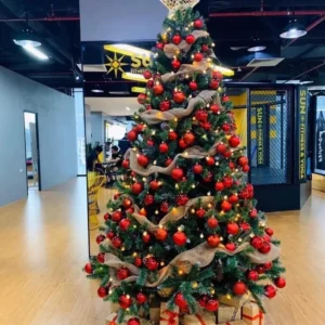 cây thông noel 1m5