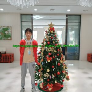 cây thông noel 1m8