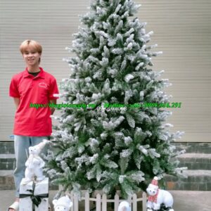 Cây thông noel 2m