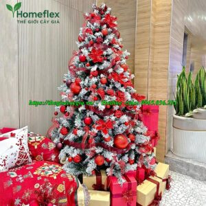 Cây thông noel 2m