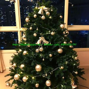 Cây thông noel 2m