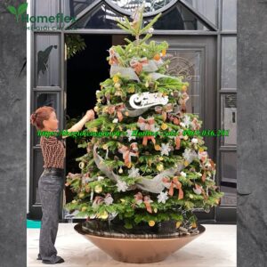 Cây thông noel 2m