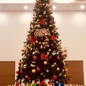Cây thông noel 2m1