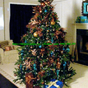Cây thông noel 2m2