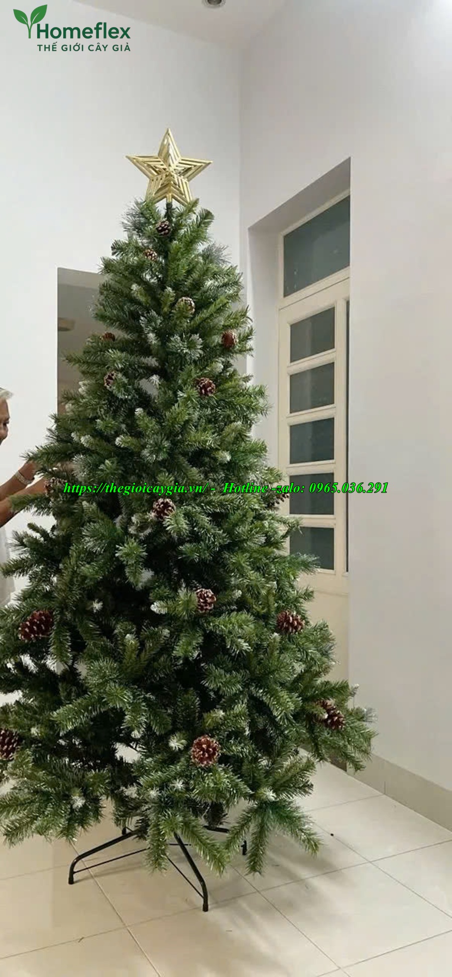 Cây thông noel 2m2