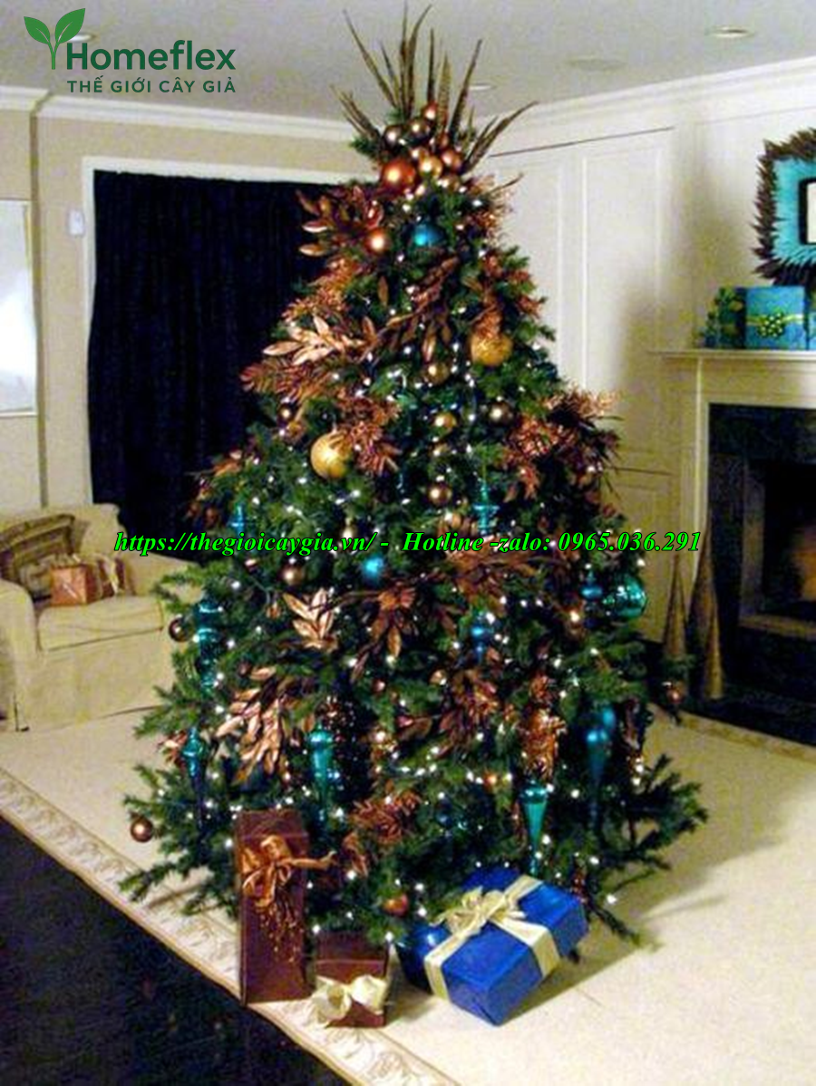 Cây thông noel 2m2