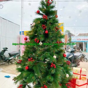 Cây thông noel 2m2