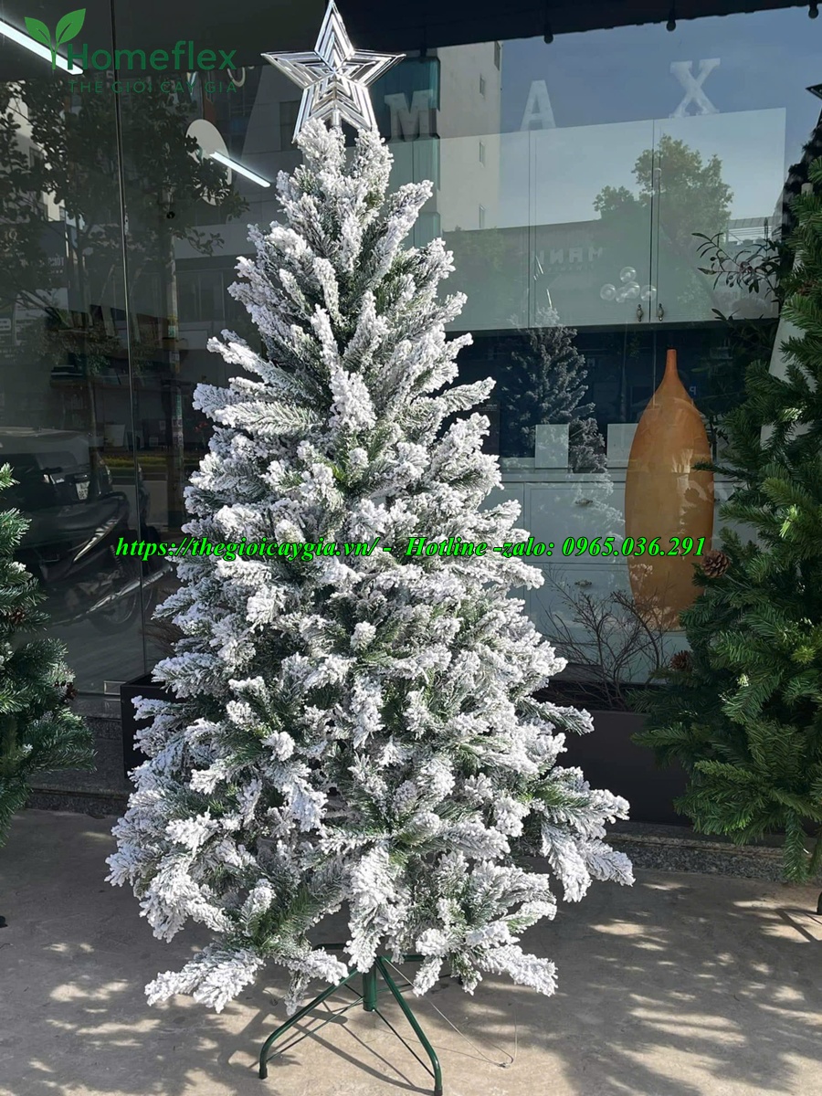 Cây thông noel 2m2
