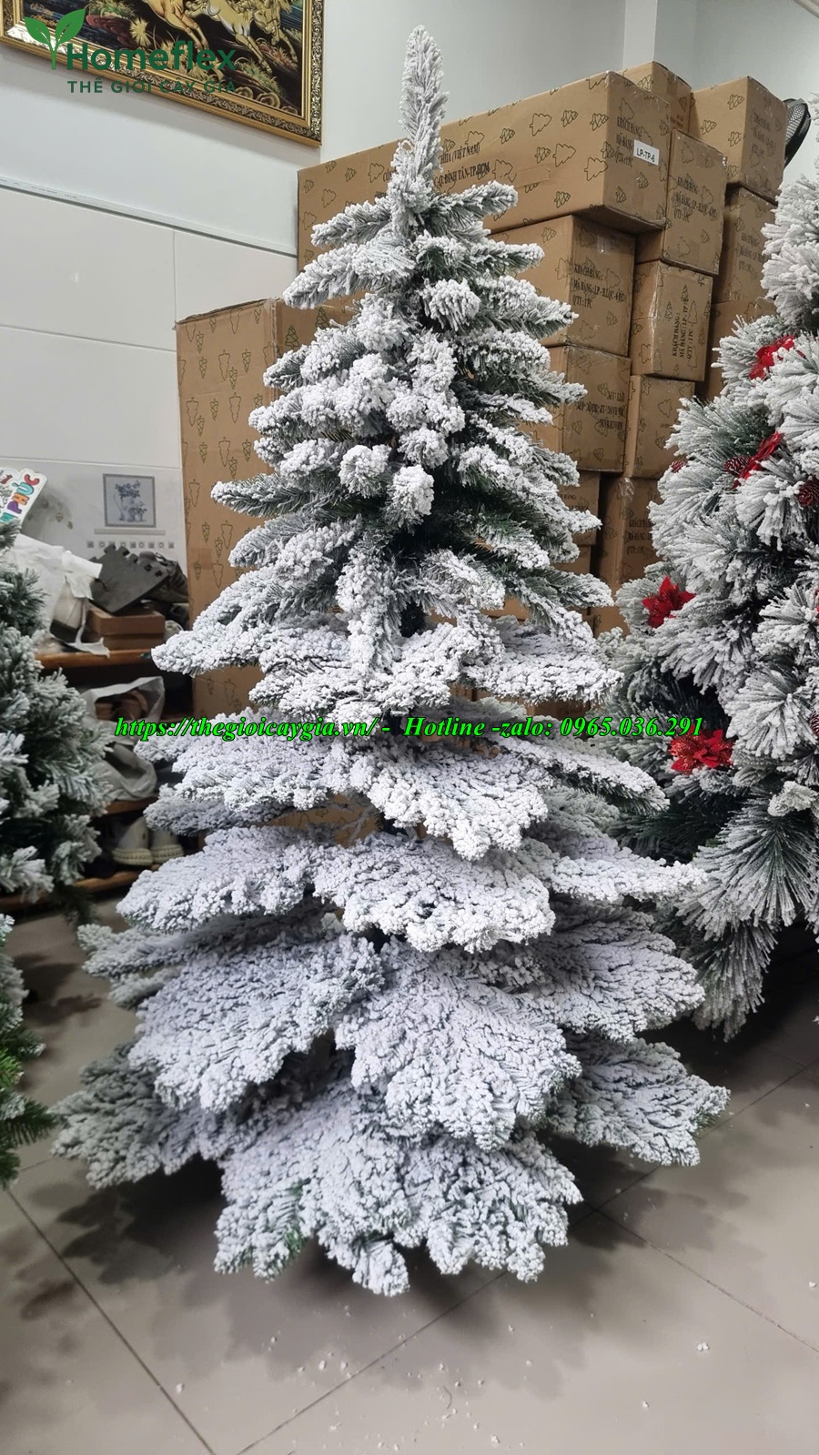 Cây thông noel 2m2