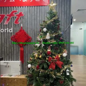 Cây thông noel 2m2