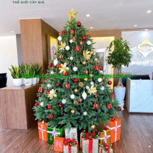 Cây thông noel 2m4