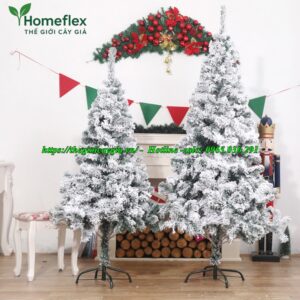 Cây thông noel 2m4