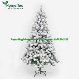 Cây thông noel 2m4