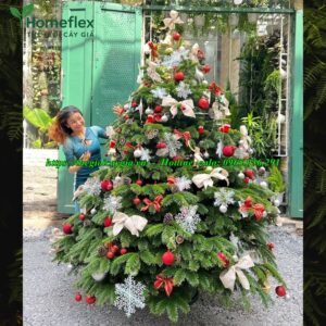 Cây thông noel 2m5