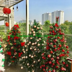 Cây thông noel 2m5