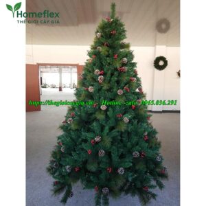 Cây thông noel 3 loại lá