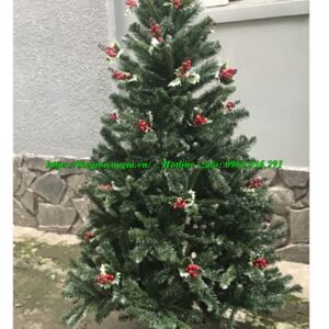 cây thông noel 3 loại lá