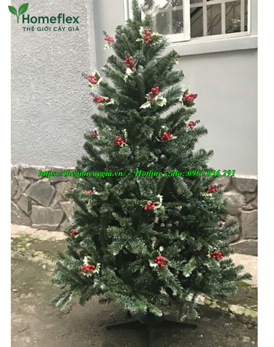 cây thông noel 3 loại lá