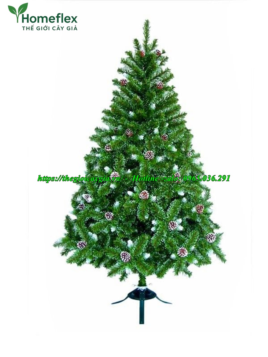 cây thông noel 3 loại lá