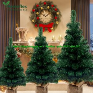 cây thông noel 3 loại lá