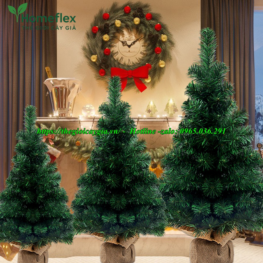 cây thông noel 3 loại lá