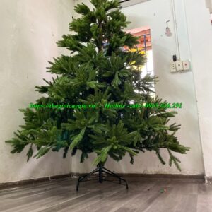 Cây thông noel 3 loại lá