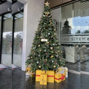 cây thông noel 3 loại lá