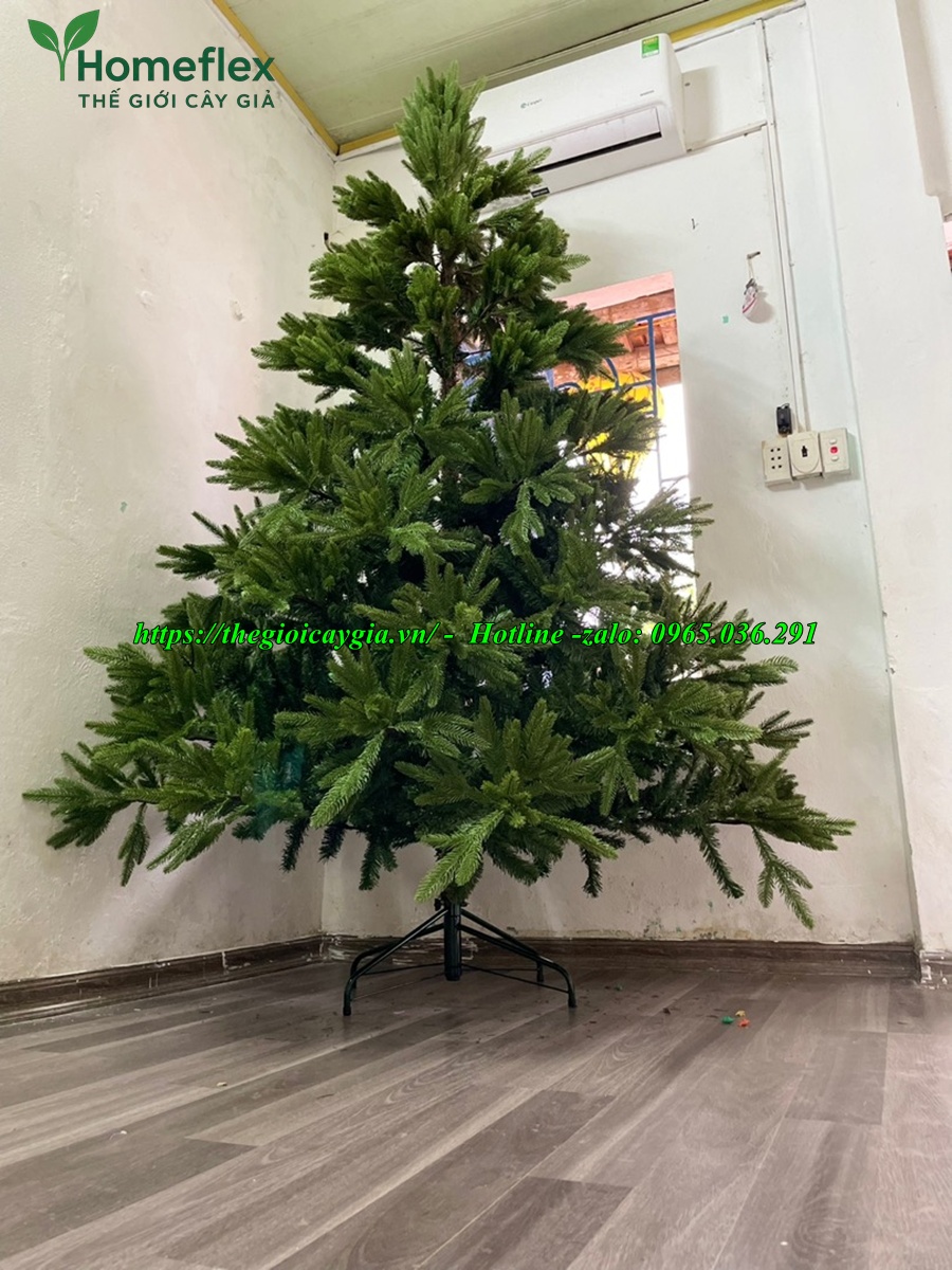 Cây thông noel 3 loại lá