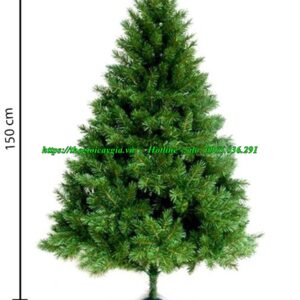 Cây thông noel 3 loại lá