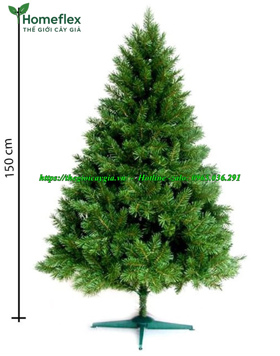 Cây thông noel 3 loại lá