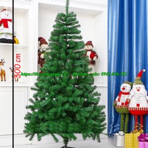 Cây thông noel 3 loại lá