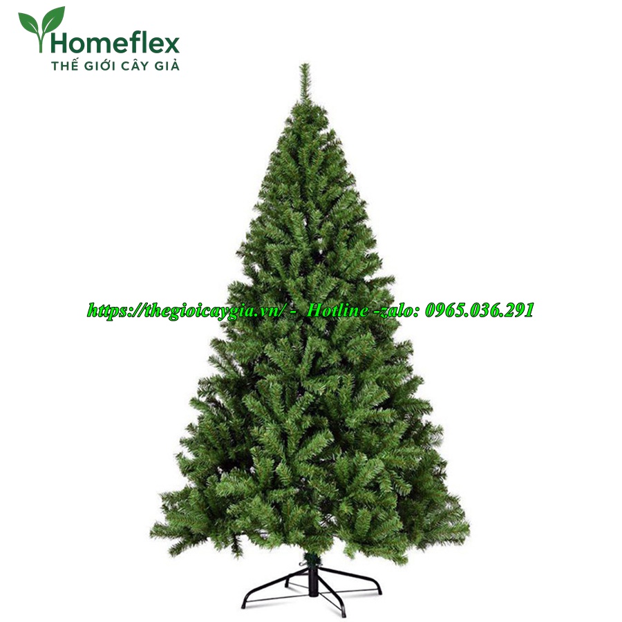 Cây thông noel 3 loại lá