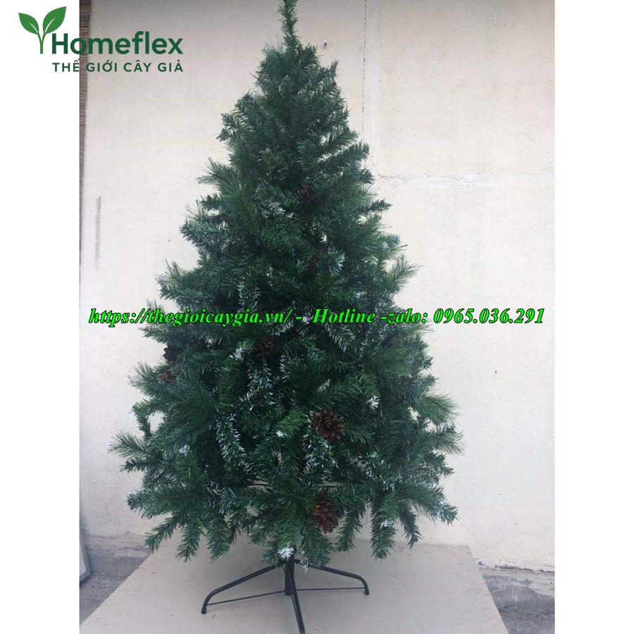 Cây thông noel 3 loại lá