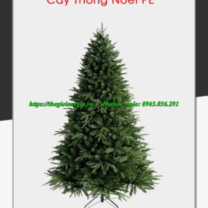 cây thông noel 3 loại lá