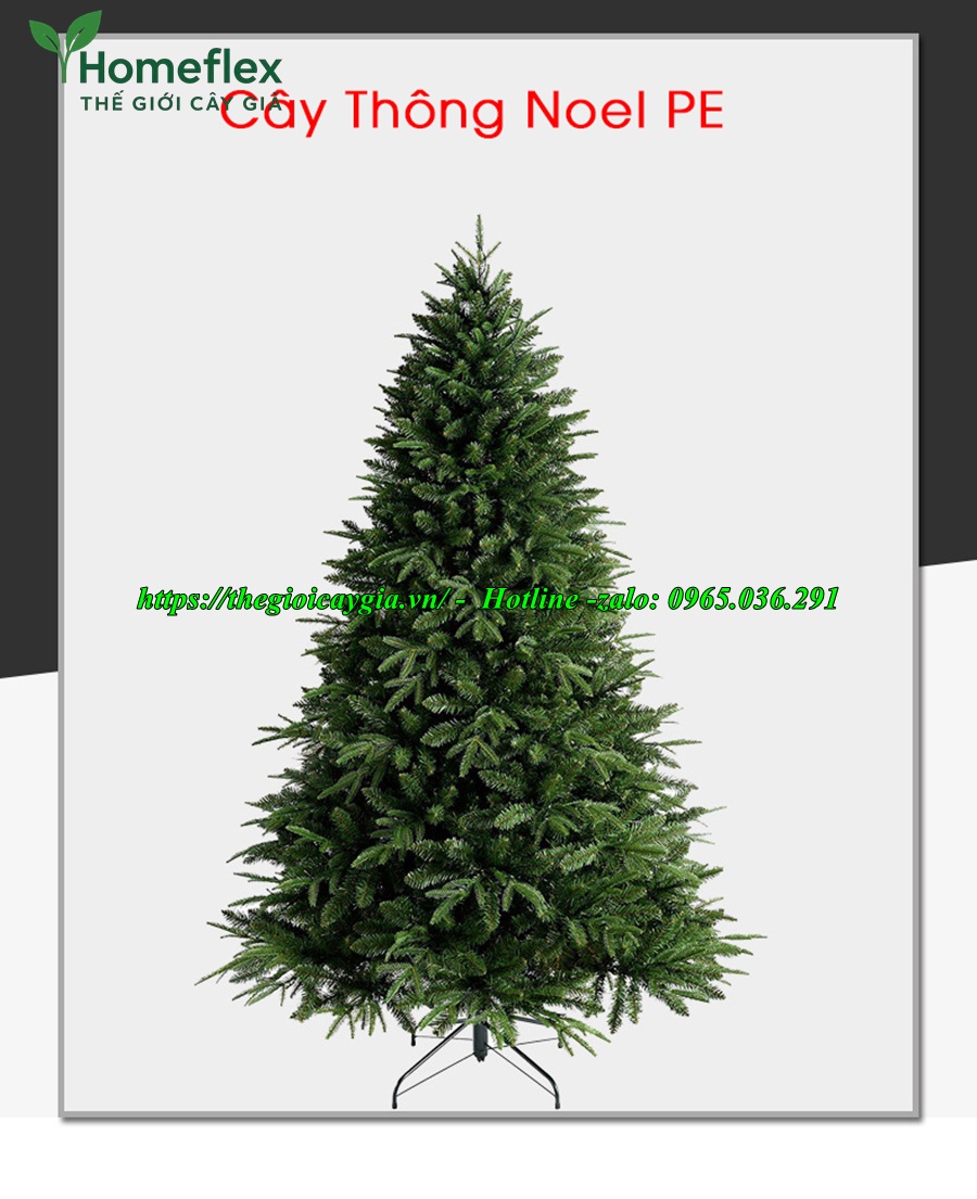 cây thông noel 3 loại lá