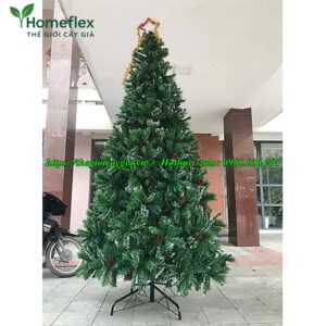 cây thông noel 3 loại lá