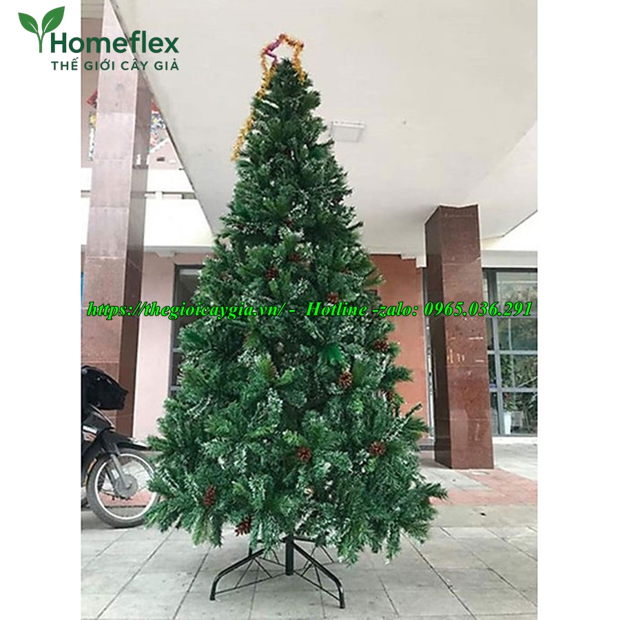 cây thông noel 3 loại lá