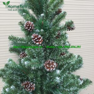 cây thông noel 3 loại lá