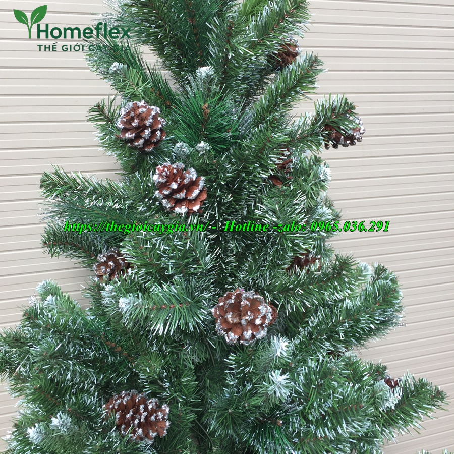 cây thông noel 3 loại lá
